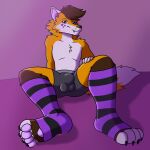  alonsocas15 anthro bulge canid canine claws clothed clothing digital_media_(artwork) fox fur hi_res legwear looking_at_viewer male mammal orange_body orange_fur partially_clothed pattern_clothing pawpads paws sitting smile solo stockings striped_clothing stripes underwear white_body white_fur 