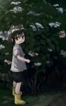  1girl :d alternate_costume animal_ear_fluff animal_ears bangs black_eyes black_hair boots commentary_request common_raccoon_(kemono_friends) extra_ears fang flower full_body grass hair_between_eyes highres hydrangea kemono_friends looking_at_viewer nanana_(nanana_iz) open_mouth outdoors raccoon_ears raccoon_girl raccoon_tail rubber_boots shirt short_hair short_sleeves skin_fang smile solo tail white_shirt yellow_footwear younger 
