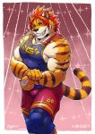  biceps blush bulge clothing felid flexing hair male mammal muscular muscular_male nomad_(tas) pantherine pecs pose red_hair tiger tight_clothing tokyo_afterschool_summoners video_games xigma_t56 