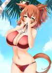  1girl absurdres animal_ears aston_machan_(umamusume) bangs bare_arms bare_shoulders bikini blue_sky blush brown_hair cloud commentary_request cowboy_shot day embarrassed green_eyes hands_up highres horse_ears komb looking_at_viewer medium_hair navel ponytail red_bikini sky smile solo standing stomach swimsuit tail umamusume 