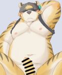  2022 anthro belly bodily_fluids censored clothing erection felid genitals hat headgear headwear hi_res kemono male mammal moobs navel nipples overweight overweight_male pantherine penis shiike999 sitting solo sweat tiger 
