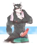 abs anthro balls biceps black_body black_fur blush bodily_fluids body_hair canid canine canis chest_hair clothed clothing clothing_pull cotton_(artist) domestic_dog edit embarrassed erection front_view fur genitals humanoid_genitalia humanoid_penis male mammal multicolored_body multicolored_fur muscular muscular_anthro muscular_male nipples nitobe nude partially_clothed pecs penis pink_nipples pink_penis portrait pubes seductive simple_background solo standing sweat three-quarter_portrait topless towel towel_around_neck two_tone_body two_tone_fur uncensored underwear underwear_down underwear_pull undressing vein veiny_penis white_body white_fur 