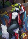  5_fingers anthro belt bottomwear brick_wall canid canine canis clothed clothing crop_top detailed_background digital_media_(artwork) dragonfu female fingers footwear fur graffiti green_hair grey_body grey_fur hair hi_res jacket mammal midriff navel nova_(hikarikurisu) open_clothing open_jacket open_topwear shirt shoes shorts solo standing topwear wall_(structure) wolf 