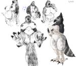  2022 accipitrid accipitriform anthro avian big_breasts biped bird bird_feet breasts claws cleavage clothed clothing digital_media_(artwork) doctordj duo eagle feathers female finger_claws genitals greyscale hand_on_breast hi_res monochrome nipples pregnant pregnant_female presenting presenting_pussy pussy simple_background tail_feathers toe_claws white_background wide_hips 