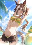  2girls animal_ears armpits bangs bare_arms bare_shoulders bikini bikini_under_clothes black_shorts blue_sky blush breasts brown_eyes brown_hair cloud commentary_request daiwa_scarlet_(umamusume) day grin hair_over_one_eye horse_ears horse_girl horse_tail innertube korokoro_nekoz looking_at_viewer low_ponytail multicolored_hair multiple_girls navel open_clothes open_fly open_shorts outdoors palm_tree ponytail red_bikini short_shorts shorts signature sky small_breasts smile solo_focus streaked_hair surfboard swimsuit tail tree umamusume v-shaped_eyebrows vodka_(umamusume) water white_hair yellow_bikini 