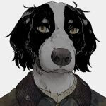  1:1 1t0u 2022 anthro border_collie canid canine canis clothing collie domestic_dog fur hatching_(art) headshot_portrait herding_dog hi_res jacket looking_at_viewer mammal multicolored_body multicolored_fur pastoral_dog portrait shaded sheepdog simple_background solo topwear two_tone_body two_tone_fur white_background yellow_eyes 