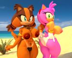  2019 3d_(artwork) abs accessory amy_rose anthro areola athletic athletic_anthro athletic_female badger beach big_areola big_breasts big_butt blender_(software) breasts brown_areola brown_body brown_fur brown_hair brown_nipples butt clothed clothing curvaceous curvy_figure detailed_background digital_media_(artwork) duo eulipotyphlan eyelashes female fingers fur gloves green_eyes hair handwear headband hedgehog hi_res hourglass_figure huge_areola jewelry looking_at_viewer looking_back lowkeydiag mammal mostly_nude multicolored_body multicolored_fur multicolored_hair mustelid musteline necklace nipples nude orange_body orange_fur orange_hair outside panties pink_areola pink_body pink_fur pink_hair pink_nipples pubes sea seaside sega short_hair short_tail side_boob small_waist smile sonic_boom sonic_the_hedgehog_(series) sticks_the_jungle_badger suntan tan_body tan_fur tan_line teal_eyes teeth thick_thighs topless topless_anthro topless_female two_tone_body two_tone_fur two_tone_hair underwear underwear_only voluptuous water wide_hips 