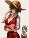 2girls 50x48x48 absurdres ascot black_cape bow cape collared_shirt eating flower green_eyes green_hair hat hat_bow highres kazami_yuuka long_skirt long_sleeves multiple_girls plaid plaid_skirt plaid_vest red_cape red_eyes red_skirt red_vest rose shirt short_hair simple_background skirt skirt_set sleeves_rolled_up stain straw_hat tomato touhou two-sided_cape two-sided_fabric vest wavy_hair white_background white_shirt wriggle_nightbug yellow_ascot 