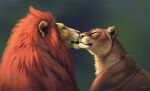  detailed disney duo eyes_closed felid female feral kion kissing lineless lion male male/female mammal mane open_mouth pantherine rani reallynxgirl shaded simple_background soft_shading the_lion_guard the_lion_king whiskers 