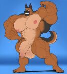  absurd_res anthro canid canine canis domestic_dog edit embarrassed genitals hi_res humanoid_genitalia hyper looking_at_viewer male mammal muscular nude penis pose regnar smile solo 