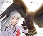  1girl animal_on_arm artist_name bangs bird bird_on_arm black_gloves breasts cape closed_mouth eagle girls&#039;_frontline gloves hair_ornament hairclip highres iws_2000_(girls&#039;_frontline) jacket long_hair long_sleeves looking_at_viewer red_eyes simple_background solo uniform unitaka upper_body white_cape white_hair white_jacket white_uniform 