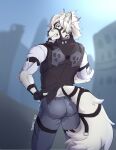  2022 angry anthro artist_name big_tail bottomwear butler butt canid canine canis city clothing hand_on_hip harness hi_res looking_back male mammal mihoyo pants solo teeth tonchii topwear video_games von_lycaon wolf zenless_zone_zero 
