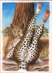 anthro anus feet felid female genitals ground hi_res legs_up leopard looking_at_viewer mammal nude pantherine plant plantigrade pussy savanna solo spots spotted_body syntech traditional_media_(artwork) tree 