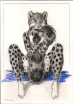  anthro bite felid female hi_res looking_at_viewer mammal nude pantherine plantigrade simple_background sitting snow_leopard solo spread_legs spreading syntech tail_bite tail_hug tail_in_mouth towel traditional_media_(artwork) 