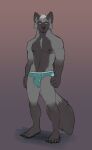  canid canine dusty_(horrorbuns) fox horrorbuns male mammal red_fox silver_fox solo 