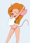  2020 anthro braless chip_&#039;n_dale_rescue_rangers clothing crop_top disney female gadget_hackwrench hi_res itsjustflesh mammal mouse murid murine navel nipple_outline open_mouth panties pink_clothing pink_panties pink_underwear rodent shirt solo stretching topwear underwear white_clothing white_shirt white_topwear yawn 