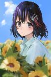  1girl 73suke absurdres black_hair blue_sky blurry brown_eyes cloud collared_shirt commentary_request day depth_of_field dress_shirt flower haguro_(kancolle) hair_ornament highres kantai_collection looking_at_viewer outdoors shirt short_hair sky solo sunflower upper_body white_shirt 