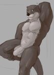  2022 abs anthro balls black_nose brown_body brown_fur countershade_face countershade_torso countershading echo_(series) echo_project foreskin fur genitals grey_background hand_behind_head hi_res humanoid_genitalia humanoid_penis lewdnopann looking_at_viewer lutrine male mammal muscular muscular_male mustelid navel nude pecs penis simple_background smile solo tan_balls tan_body tan_countershading tan_fur tan_penis the_smoke_room todd_bronson unretracted_foreskin vein video_games visual_novel 