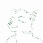  1:1 2d_animation animated anthro blush blush_lines canid canine canis cosmictwilight green_line_art happy hi_res male mammal monochrome short_playtime simple_face sketch solo wiggle wobble wolf 