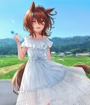  ahoge animal_ears arm_at_side bangs bare_shoulders bottle brown_hair collarbone dress earrings grass holding holding_bottle horse_ears horse_girl horse_tail jewelry long_dress looking_at_viewer manhattan_cafe_(umamusume) medium_hair nazuka_(mikkamisaki) off-shoulder_dress off_shoulder open_mouth outdoors ramune road single_earring smile standing tail umamusume white_dress 