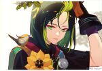  1boy animal_on_shoulder arm_up artist_name bangs bird bird_on_shoulder black_gloves black_hair black_shirt blush branch brown_eyes brown_gloves commentary drawstring eyelashes flower forehead genshin_impact gloves green_eyes green_hair highres holding holding_hair hood hood_down hoodie jesse_(pixiv34586727) leaf letterboxed looking_at_viewer male_focus medal multicolored_clothes multicolored_eyes multicolored_hair parted_lips shirt short_hair sidelocks signature smile solo tighnari_(genshin_impact) turtleneck two-tone_gloves two-tone_hair upper_body watermark wet white_background wrist_cuffs yellow_flower 