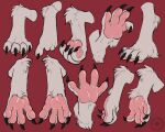  4_toes 5:4 absurd_res anthro artist_name biped carifoxleopard cassius_(oldmancassius) claws digital_drawing_(artwork) digital_media_(artwork) english_text feet foot_fetish foot_focus foot_shot fur hi_res hindpaw male multiple_poses pawpads paws pink_pawpads pose red_background sergal signature simple_background solo spread_toes text toe_claws toe_curl toes url white_body white_fur 