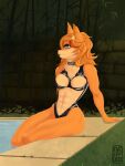  abs anthro araywo bamboo blue_eyes buffpup canid canine canis choker clothing domestic_dog female fox hair hi_res jewelry latex latex_clothing mammal muscular muscular_female muscular_thighs necklace orange_hair poolside solo swimwear 