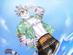  2021 anthro bottomwear clothing cloud domestic_cat e_convenient eyewear felid feline felis hi_res male mammal nimbus_(world_flipper) shorts sky smile solo summer sunglasses swimming_trunks swimwear teeth water world_flipper 