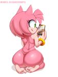  amy_rose anthro big_butt burger butt canid canine delicioussoup eulipotyphlan female food fox hedgehog hi_res mammal miles_prower nude sega solo sonic_the_hedgehog_(series) 