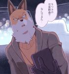  anthro bodily_fluids canid canine car cellphone clothing fox fuyuki_yamamoto_(odd_taxi) jacket japanese_text male mammal minashirazu odd_taxi phone smartphone solo sweat sweatdrop sweater text topwear vehicle window 