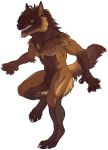  anthro athletic athletic_anthro athletic_male black_lips black_nose brown_body brown_fur brown_hair brown_tail butt_tuft canid chest_tuft claws crotch_tuft fangs featureless_crotch finger_claws fluffy fluffy_tail fur glistening glistening_eyes grey_claws grin hair leg_tuft lips male mammal navel neck_tuft rayliicious shoulder_tuft simple_background smile solo tuft white_background 