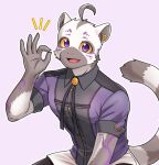  2022 anthro bingsu_19 chardonnay_romancia clothed clothing digital_drawing_(artwork) digital_media_(artwork) ear_piercing fully_clothed fur gesture grey_body grey_fur hi_res lemur looking_at_viewer male mammal markings nazk_banua ok_sign piercing primate purple_eyes shirt simple_background smile solo strepsirrhine topwear white_background white_body white_fur yellow_sclera 