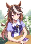  1girl blurry blurry_background book brown_hair commentary_request looking_at_viewer mauve multicolored_hair purple_eyes school_uniform short_sleeves sitting smile solo streaked_hair symboli_rudolf_(umamusume) tracen_school_uniform umamusume white_hair 