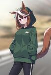  1girl animal_ears bangs black_hair black_pants blurry blurry_background brown_hair closed_mouth commentary_request depth_of_field green_hoodie hair_between_eyes hands_in_pocket hands_on_hips head_tilt hood hood_up hoodie horse_ears horse_girl horse_tail long_hair looking_at_viewer mauve multicolored_hair pants purple_eyes solo standing streaked_hair symboli_rudolf_(umamusume) tail two-tone_hair umamusume white_hair 