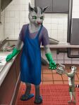  anthro apron bib bottomwear clothing cutlery detailed_background dishes duo flip_flops footwear fur generation_3_pokemon gloves green_eyes grey_body grey_fur handwear hi_res holding_object inside kitchen kitchen_utensils latex_gloves lemur lemurlemurovich looking_at_another male mammal mightyena nintendo pokemon pokemon_(species) primate sandals shirt shorts size_difference spoon standing strepsirrhine t-shirt tools topwear video_games washing_dishes 