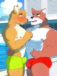  absurd_res anthro blush brown_body brown_fur bulge canid canine clothed clothing duo erection fur hi_res looking_down male male/male mammal poolside seductive sky summer swimming_pool swimwear tongue tongue_out waterwang yellow_body yellow_fur 