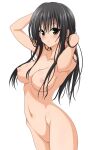  1girl black_hair breasts highres kotegawa_yui long_hair non-web_source nude nude_filter pussy third-party_edit to_love-ru 