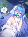  1girl absurdres ahoge armpit_crease artist_name azur_lane bangs blue_hair breasts bridal_veil bride bug butterfly covered_navel covering_mouth dress elbow_gloves english_commentary gloves gold_choker hair_between_eyes helena_(azur_lane) highres jewelry kyl490 lily_pad long_hair looking_at_viewer lying medium_breasts official_alternate_costume on_water purple_eyes ring sidelocks signature veil very_long_hair water_lily_flower wedding_dress wedding_ring white_dress white_gloves 
