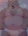  2022 absurd_res anthro bed belly blush clothing furniture hi_res humanoid_hands jambavan kemono lifewonders lying male mammal moobs overweight overweight_male pillow solo tokyo_afterschool_summoners underwear ursid video_games zuboboz 