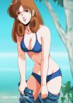  1980s_(style) 1girl bikini blue_bikini breasts brown_hair choujikuu_yousai_macross denim green_eyes hayase_misa highres jeans long_hair looking_at_viewer macross macross:_do_you_remember_love? medium_breasts pants retro_artstyle robotech solo swimsuit tree undressing waeba_yuusee 