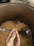  1other che_vuoi?_(italian_gesture) fingernails food italian_commentary meme mossacannibalis mouse original parody pasta photo_background pov pov_hands solo spaghetti 