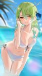  1girl antlers beach bikini blurry blush braid breasts ceres_fauna cleavage depth_of_field flower french_braid green_hair gukurosawa01 hair_flower hair_ornament highres hololive hololive_english leaf medium_breasts mole mole_under_eye navel smile solo swimsuit virtual_youtuber yellow_eyes 