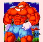  abs anthro biceps big_muscles bulge clothed clothing digital_media_(artwork) echidna flexing gloves handwear hi_res humanoid knuckles_the_echidna looking_at_viewer male mammal monotreme muscular muscular_anthro muscular_male pecs sega smile solo sonic_the_hedgehog_(series) standing topless video_games zephir 