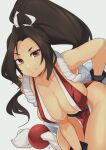  1girl armpits bare_shoulders breasts brown_eyes brown_hair cleavage collarbone delux_drawings fatal_fury highres large_breasts leaning_forward looking_at_viewer ninja no_bra no_panties pelvic_curtain ponytail revealing_clothes ribbon rope sash shiranui_mai smile smirk solo the_king_of_fighters thighs 