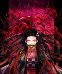  1girl bit_gag black_hair floating_hair flower gag gradient_hair haori japanese_clothes kamado_nezuko kimetsu_no_yaiba kimono long_hair looking_at_viewer multicolored_hair obi pink_eyes pink_kimono print_kimono red_flower red_hair sash solo sushi_(sashimise) upper_body v-shaped_eyebrows very_long_hair 