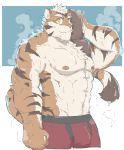  abs anthro biceps bulge chest_tuft clothing felid iwano.kal_(artist) looking_at_viewer male mammal muscular nipples pantherine pecs red_nose simple_background solo standing sweat tiger tuft underwear yellow_eyes 