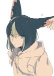  1boy animal_ear_fluff animal_ears black_hair blunt_ends ear_grab fox_boy fox_ears fox_tail from_side genshin_impact green_eyes green_hair hair_between_eyes highres hood hoodie looking_at_viewer male_focus multicolored_hair partially_colored pov short_hair simple_background sketch solo streaked_hair tail tighnari_(genshin_impact) tonoium white_background 