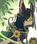 1boy absurdres animal_ear_fluff animal_ears artist_name bangs black_hair bloom blunt_ends blurry blurry_background bomb branch bright_pupils brown_eyes cape commentary_request dior&#039;s_bread drawstring earrings fish fish_in_mouth flower fox_boy fox_ears genshin_impact gradient_eyes green_cape green_eyes green_hair hair_between_eyes highres hood hood_down hoodie jewelry leaf looking_at_viewer male_focus medal mouth_hold multicolored_clothes multicolored_eyes multicolored_hair outdoors short_hair sidelocks signature single_earring solo tassel tighnari_(genshin_impact) two-tone_hair upper_body yellow_flower 