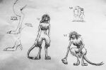  anthro big_nose bone cross-hatching crouching diagram digitigrade female feral folded_ears forked_tail genitals graphite_(artwork) hair hatching_(art) hi_res imirok long_tail messy_hair model_sheet navel pussy ribs shaded skinny skull slim solo standing talons traditional_media_(artwork) unusual_anatomy unusual_tail 