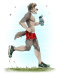  absurd_res anthro biped bottomwear brown_eyes canid canine canis chin_tuft clothed clothing domestic_dog exercise facial_tuft featureless_chest fur grass grey_body grey_fur grey_hair gym_bottomwear gym_clothing gym_shorts hair hi_res holding_water_bottle jackaloo jogging male mammal mark_(jackaloo) pink_nose plant plantigrade red_bottomwear red_clothing red_shorts running_shoes shorts simple_background solo tongue tongue_out topless topless_anthro topless_male white_background 